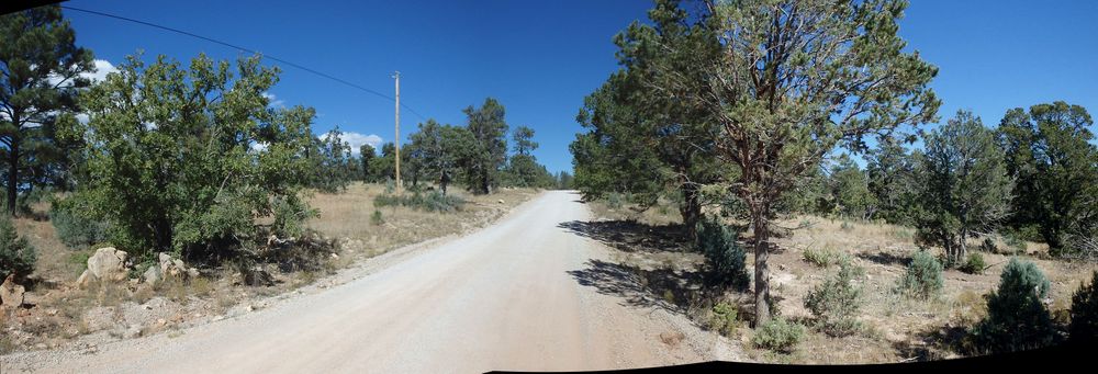 GDMBR: Cibola National Forest - We get to ride uphill for about 3 miles.